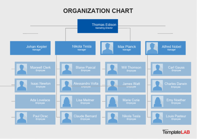 Organization Chart Thomas Edison PDF