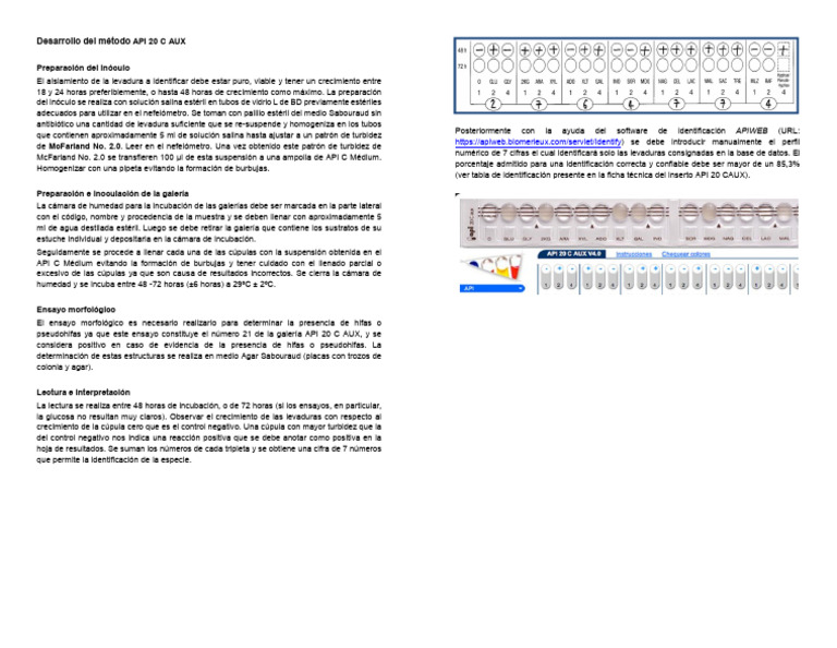 Método API 20 C AUX para Identificación | PDF | Ciencia y matemáticas