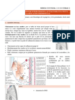 C1 - Etiopatogenia y Clasificaciã N Periodontal - 15.05 - Dr. Segovia