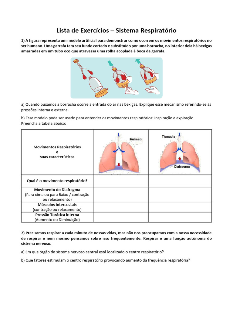 Exercícios sobre o Sistema Respiratório | PDF