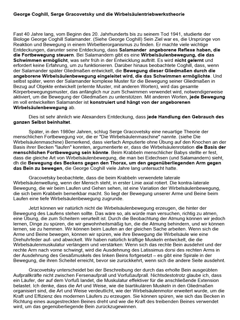 Theorie Der Wirbelsäulenmaschine | PDF