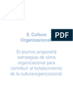 II. Cultura Organizacional