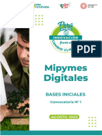 Bases Iniciales Mipymes Digitales Cambio Climatico