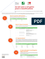 Infografica Diagnosi Anemia Cane Gatto