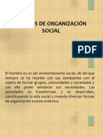 Formas de Organización Social