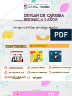 Plan de Carrera A 5 Años-Arrunátegui Martino