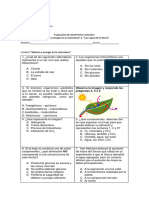 Examen de Nivel Primer Semestre Fotosintesis y Capas