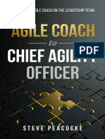 Agile Coach To Chief Agility Officer (Steve Peacocke)