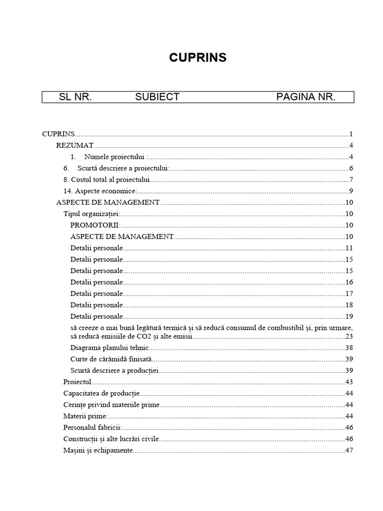 Plan de Afaceri Auto Brick (Plan de Afaceri) | PDF
