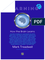 Learning How The Brain Learns