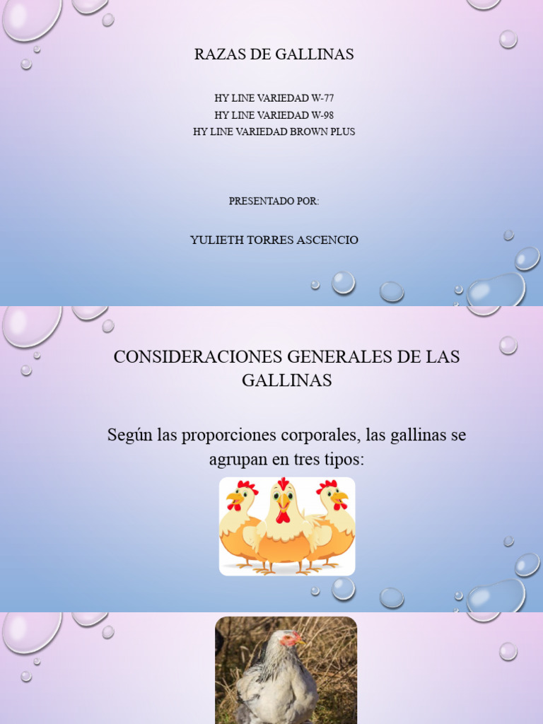 Yulieth Torres Ascencio | PDF