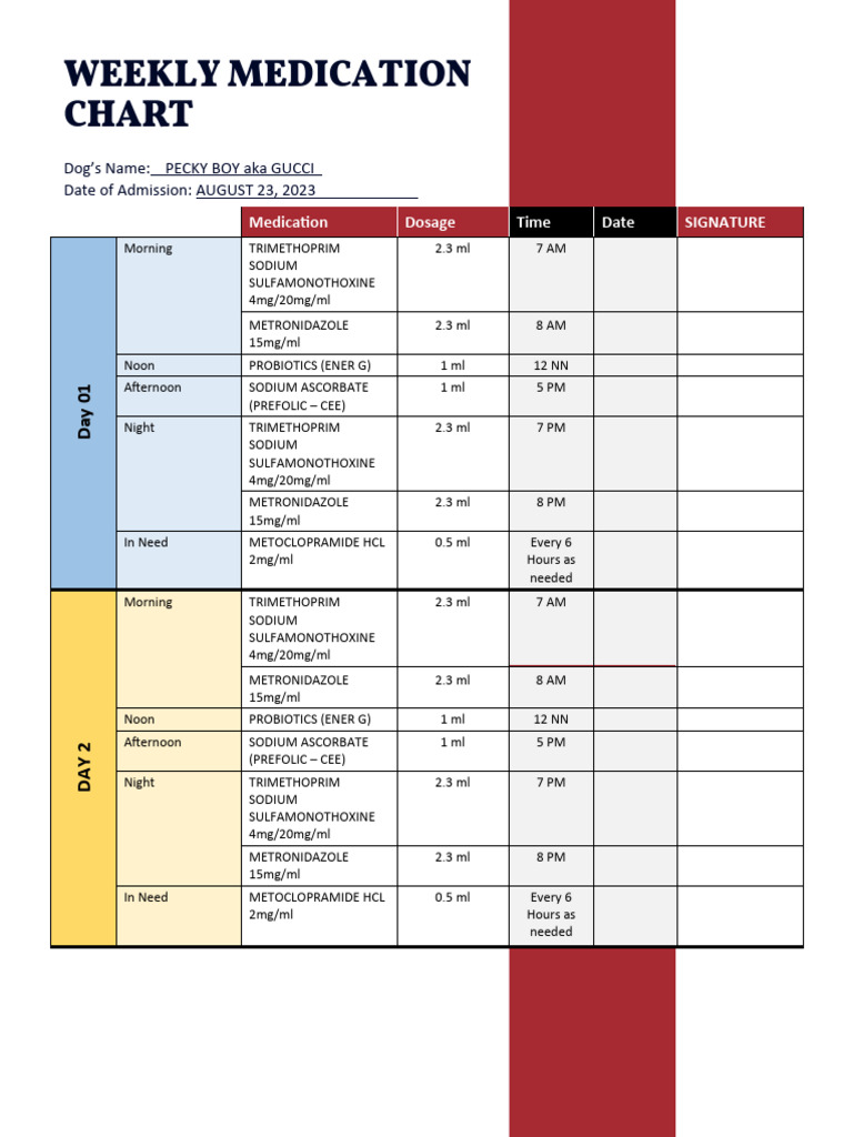 Weekly Medication Chart Template PDF