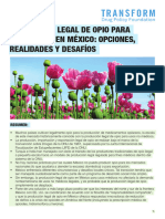 Opium Briefing Spanish 2019 Web