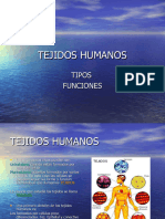 Tejidoshumanos111112144922phpapp02 20230922095514