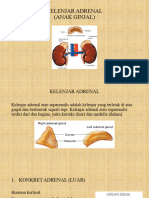 Kelenjar Adrenal