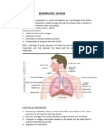 respiratory system