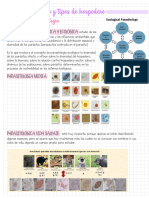 Agosto 29 Parasitología