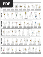 Training Routine Preparation Template