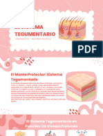 Sistema Tegumentario 5-B