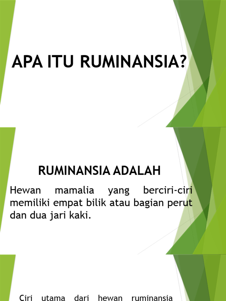 Apa Itu Ruminansia | PDF