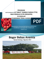 PROGRAM TTD Rematri, PKM TG, Ykpi