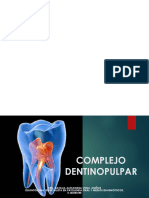 Complejo Dentinopulpar Parte I