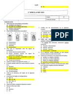 Simulacro 6to Grado 2023 - Desarrollado