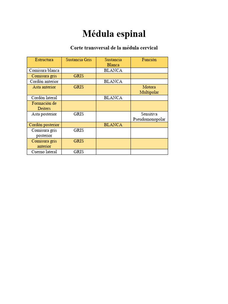 Médula Espinal Pdf
