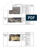 Patologías Pavimento Asfáltico y de Concreto