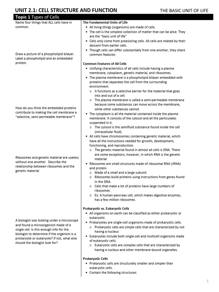 Unit 2.1 Interactive Notes 2223 | PDF | Endoplasmic Reticulum | Cell ...