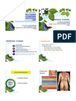 Dermatosis Vesikobulosa Kronik DR Menul in 231009 075806