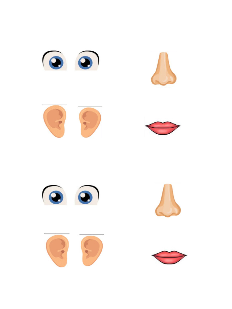 Body Parts | PDF