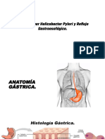 Infección Por Helicobacter Pylori y Reglujo Gastroesofágico.