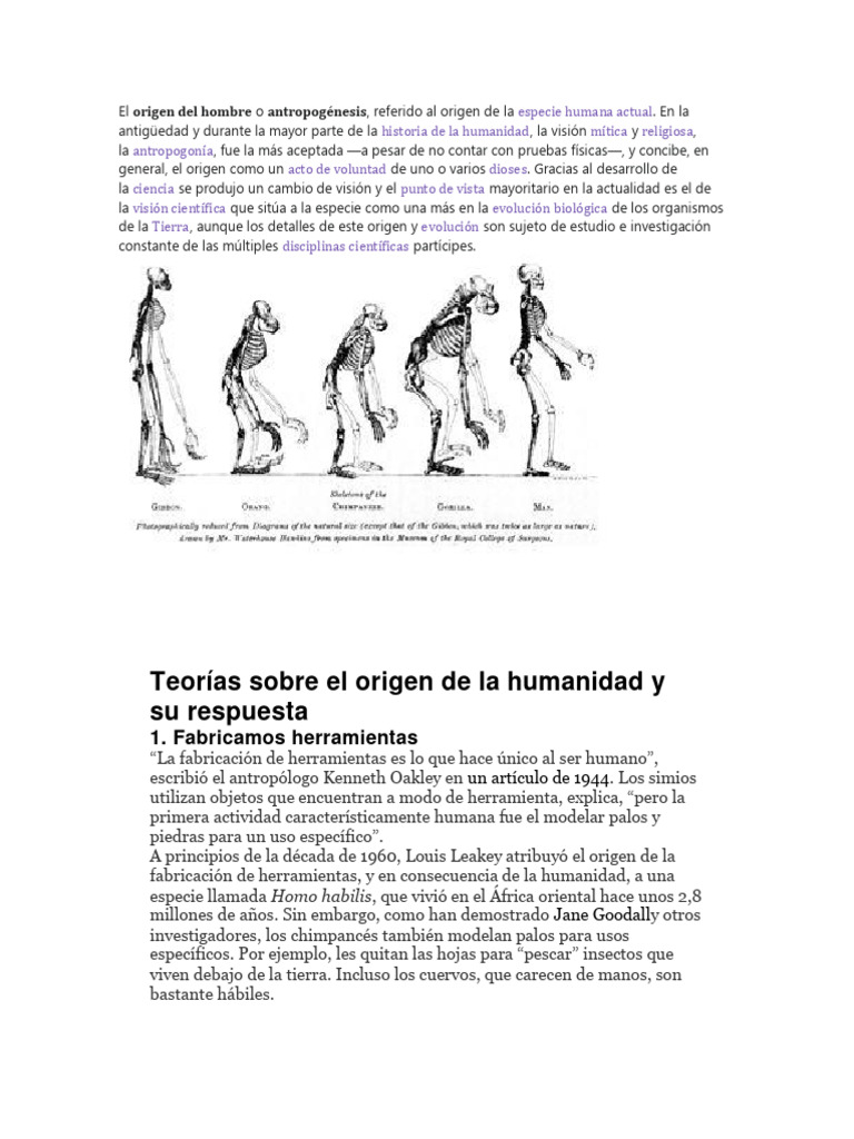 Teorías sobre el origen de la humanidad | PDF | Humano | Evolución