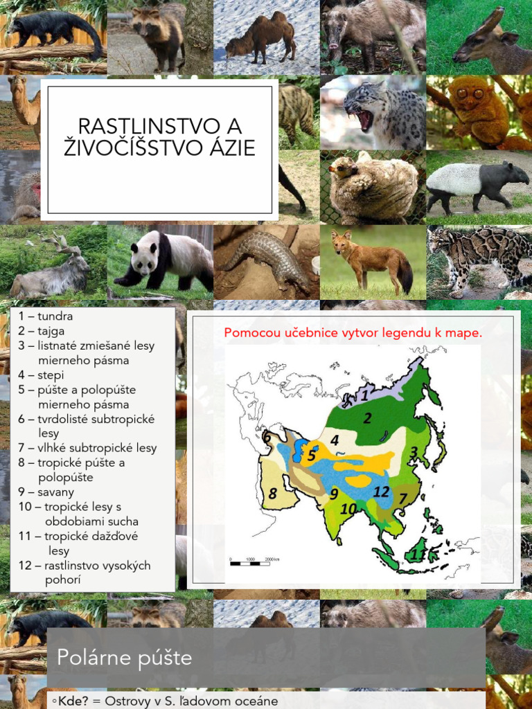 Rastlinstvo A Živočíšstvo Ázie | PDF