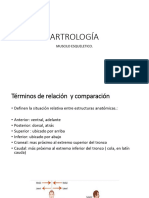 Artrología Musculo Esqueletico