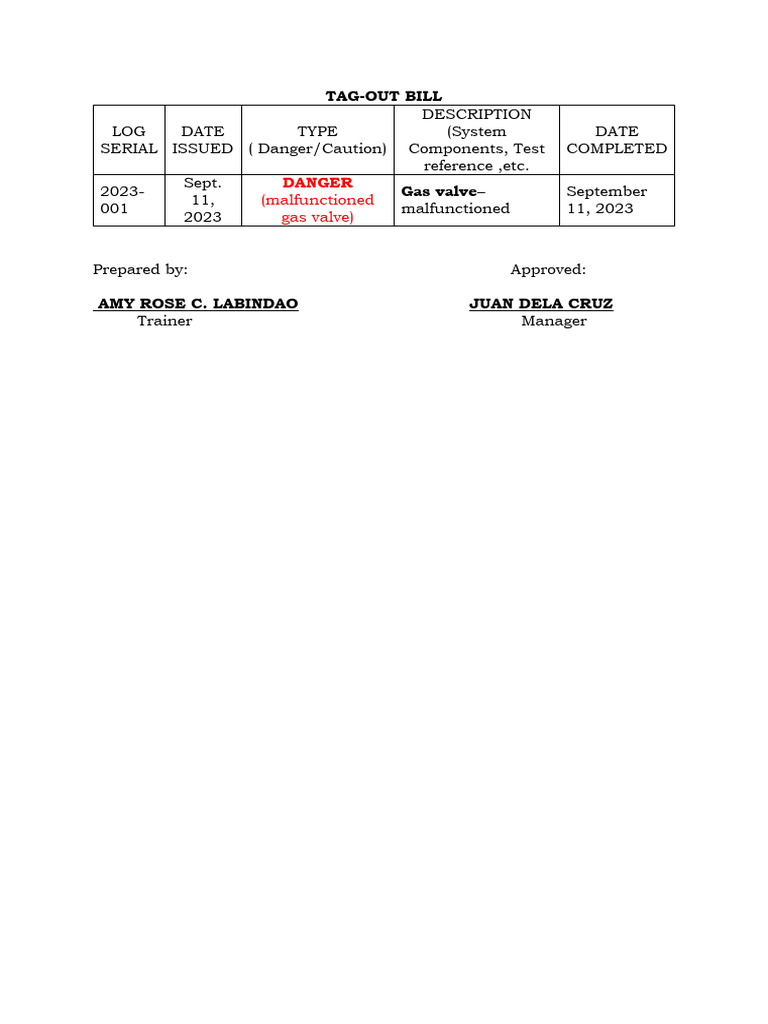 tag-out-report-bpp-pdf