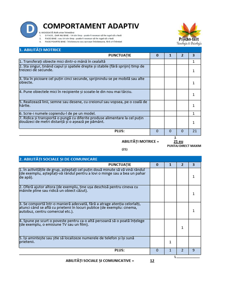 Șablon Icap VERSIUNEA CHILEANĂ v2 | PDF