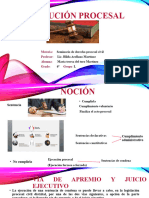 Ejecucion Procesal Exposicion