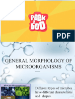 General Morphology of Microorganisms