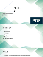 Basics of Human Cell