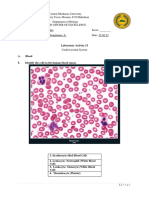 Exercise 15 Cardiovascular Syst