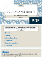 Labor and Birth (Part2)