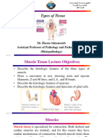 Histology 6