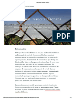 Operación 'Resucitar Doñana'