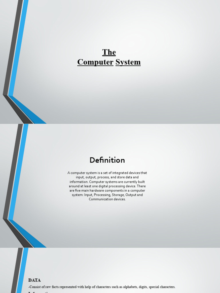 The Computer System | PDF