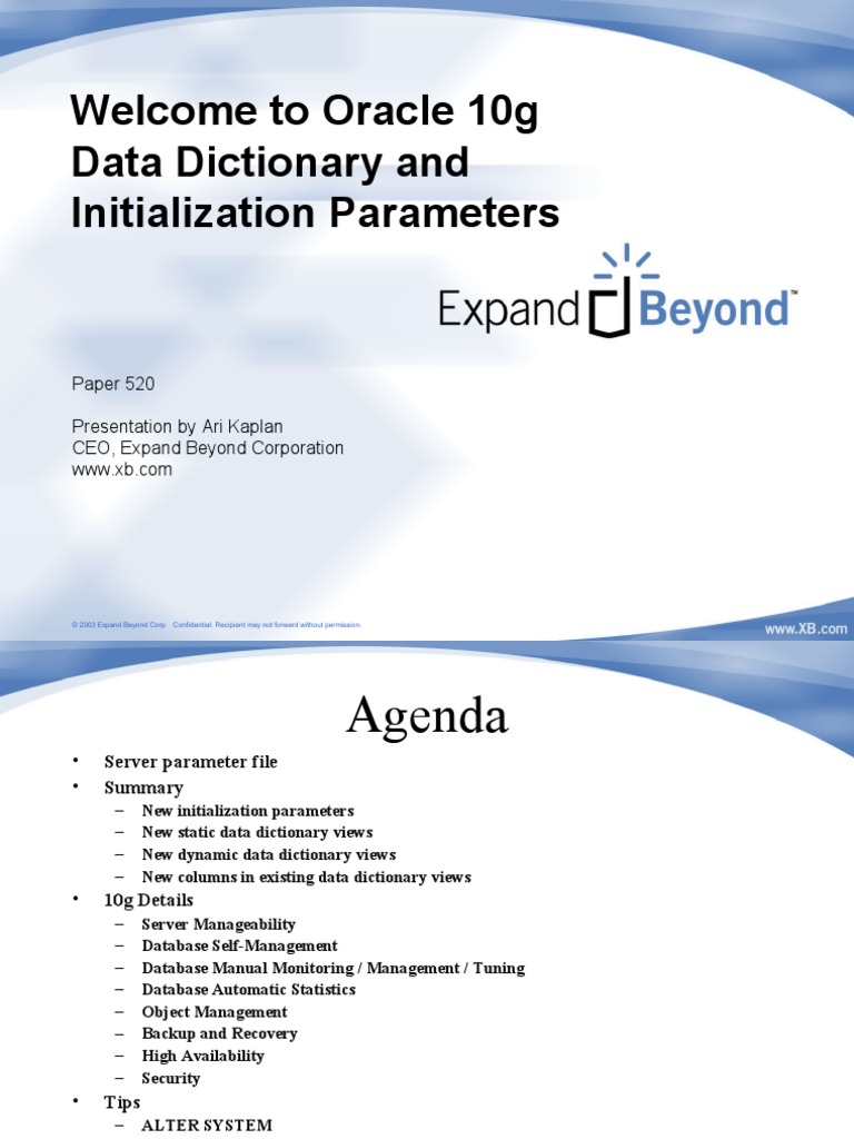 Oracle 10g Data Dictionary and Initialization Parameters 1 PDF