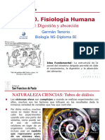 GTP t10 Fisiologia Humana Digestion y Ab