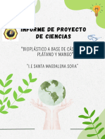 Informe Proyecto de Cyt