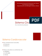 Sistema Circulatorio